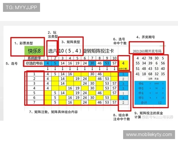 开元棋牌投注技巧分享,提升你的中奖概率和投注策略 开元棋牌投注技巧分享,提升你的中奖概率和投注策略