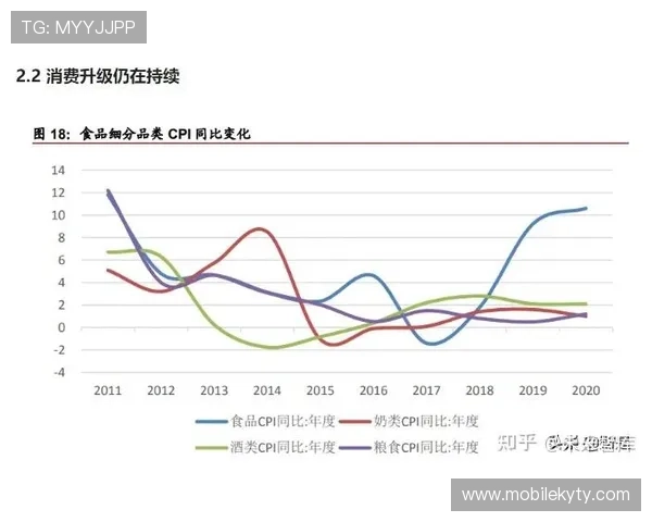 开云官方网站的历史发展与未来发展战略深度分析