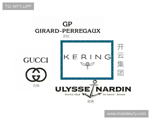 开云会员与普通用户的区别详解让你清楚了解会员专属权益与普通用户的差异