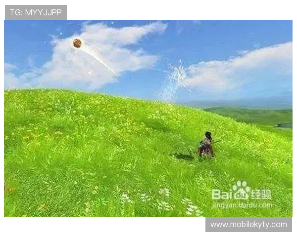 开云娱乐官网入口官方入口导航，帮助玩家快速找到最安全的登录通道