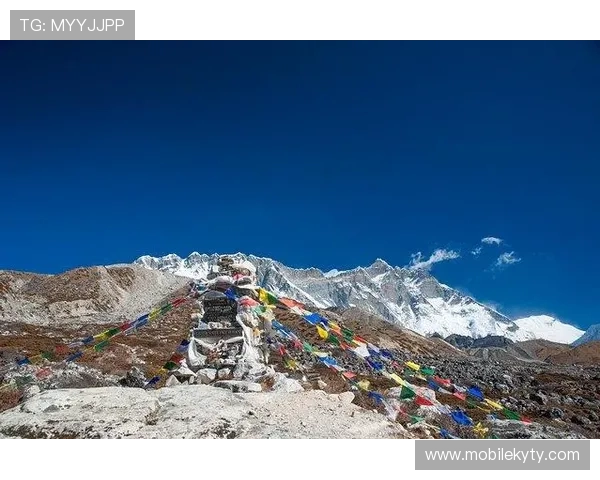 开云app安卓下载完整流程，快速便捷的安装步骤与常见问题解决方案