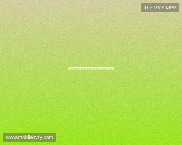 世界杯赛前库拉索与厄瓜多尔球队排名最新动态及比赛策略预测指南